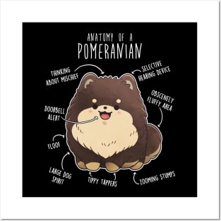 Chocolate and Tan Pomeranian Dog Anatomy Posters and Art